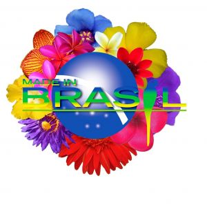 Logo Made In Brasil