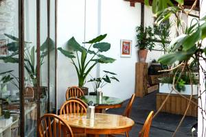 Plant Club - Italian Gluten-free & Vegan Restaurant & Pizzeria