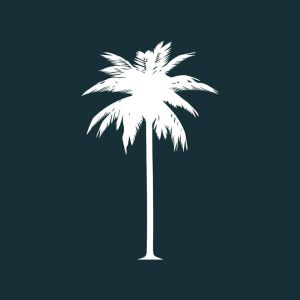 Logo The Coconut Tree Birmingham